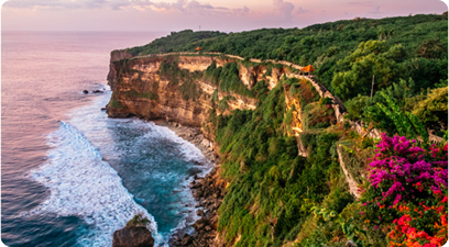 Лучшие виды